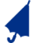 Umbrella Insurance