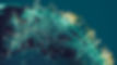 Fiber.jpg