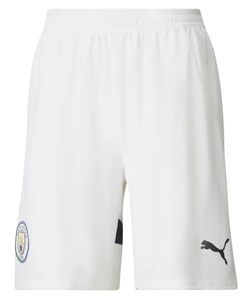 Miniaturbild: Manchester City 2024/2025