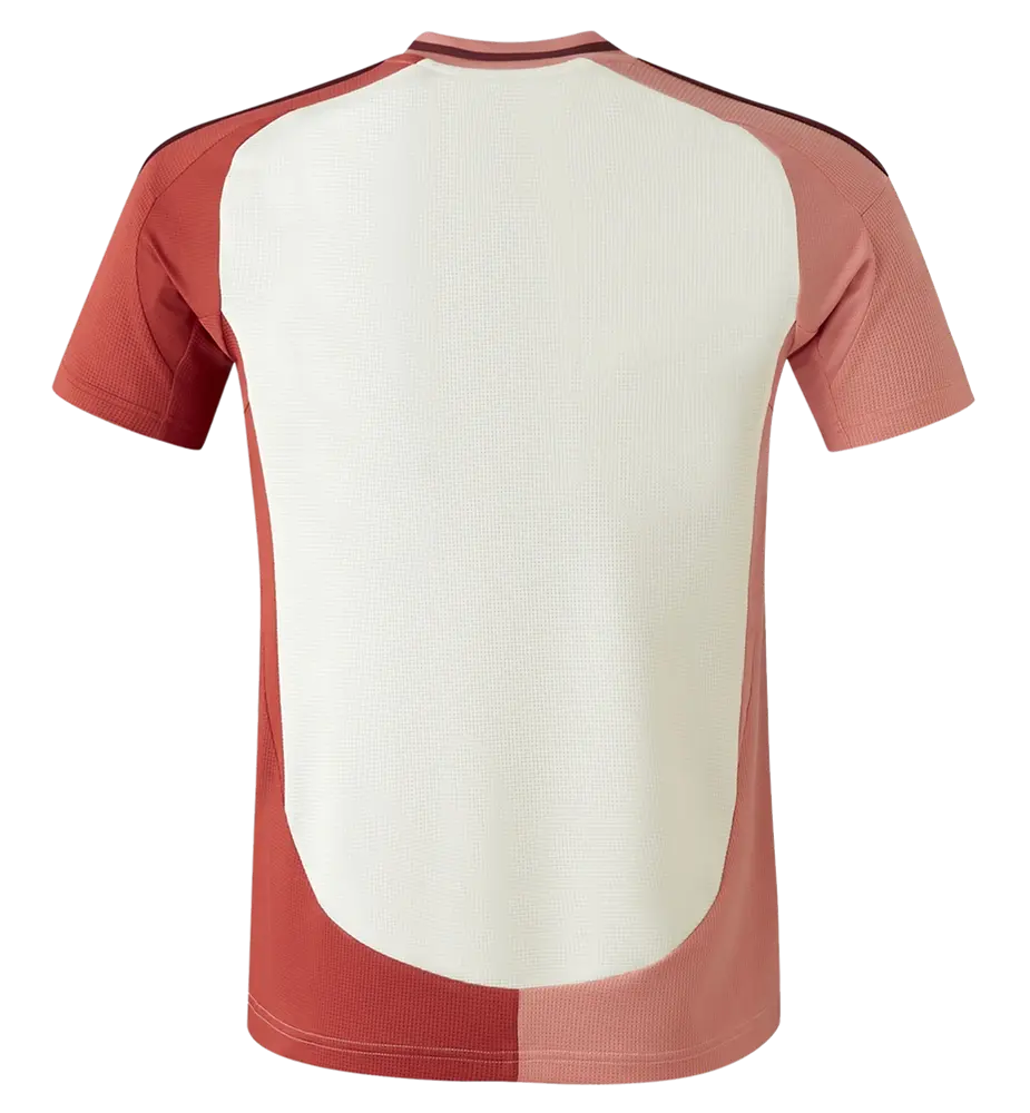 Miniaturbild: Olympique Lyon 2024/2025