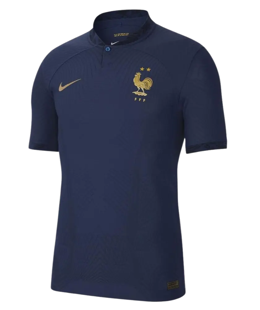 Frankreich -Spielerversion