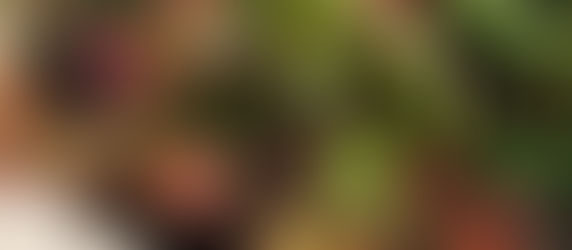 なんでしょうか?