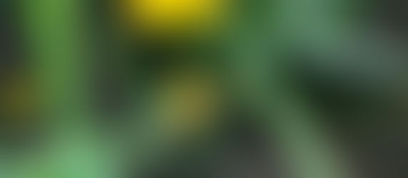 院内絵手紙教室