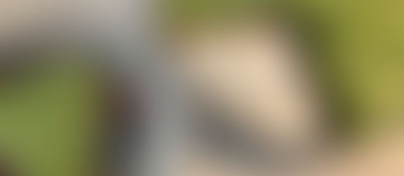 暑さも和らぐかも