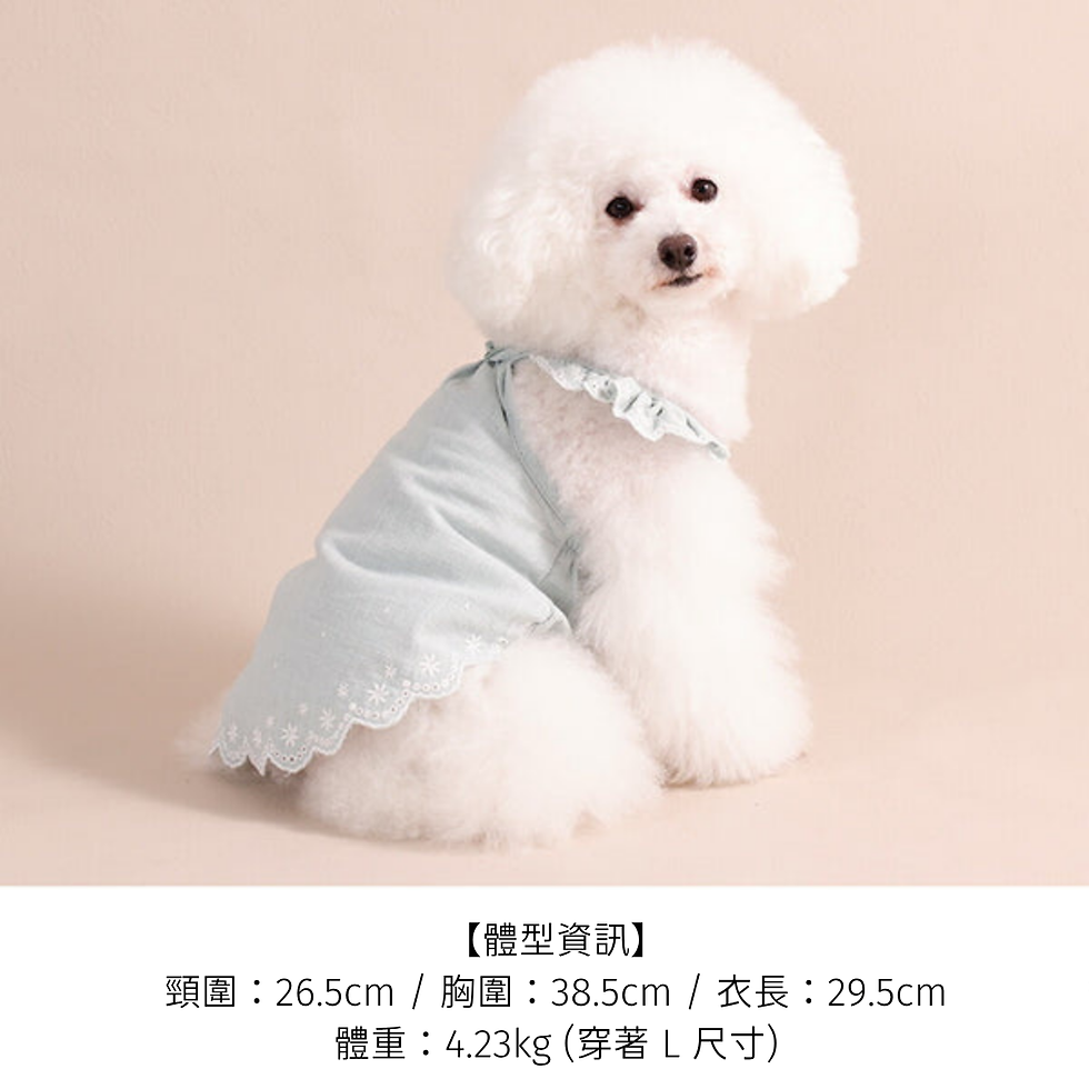 Thumbnail: 下擺刺繡細肩帶上衣 (裾刺しゅうキャミソール)