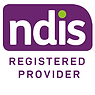 NDIS image.png