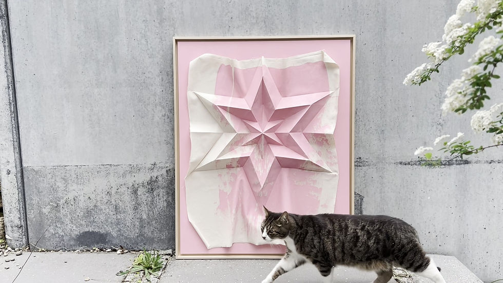 Miniaturbild: Kunstwerk in Rahmen mit rosafarbenem dreidimensionalem Stern in urbaner Umgebung. Video mit Katze im Vordergrund