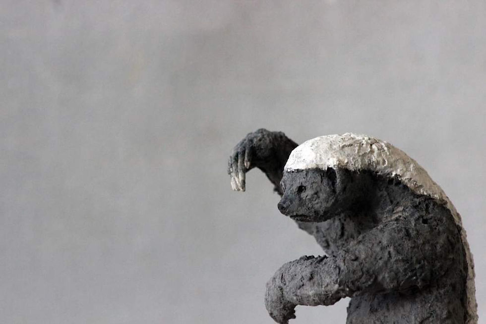 縮圖：Enzuo's Art ☆ Original《 Fight.Honey Badger》