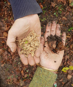 Unframed photograph as wall art titled Love by Irene Holub