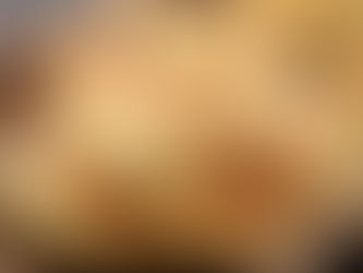 Empanadas Mexicanas o Argentinas?