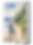 1752706508.png