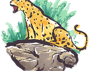 ilustrado Jaguar