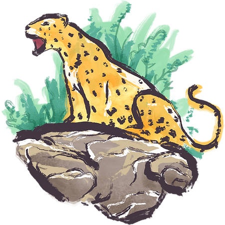 Illustrated Jaguar