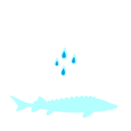 Graphisme forum municipal (4).png