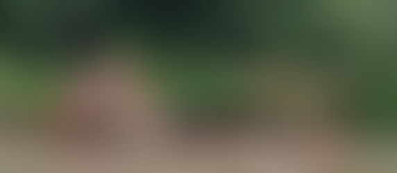 Sala Constitucional admite acción popular que busca frenar la minería que depreda el Madidi