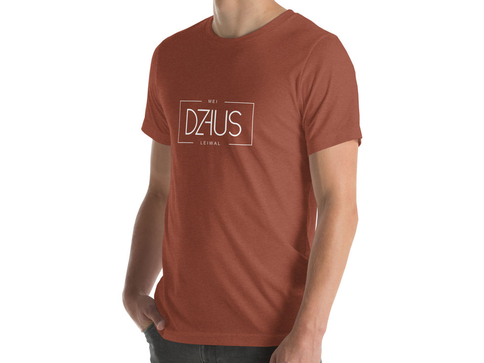 Terrakottafarbenes Dzaus Logo-T-Shirt mit modernem Unisex-Schnitt.