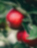 iStock-1700422008.jpg