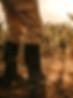 iStock-976737442.jpg