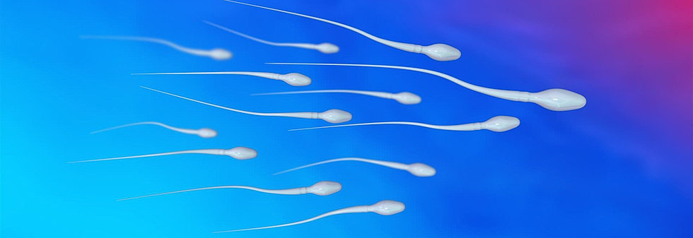Donor sperm ivf — pic 2
