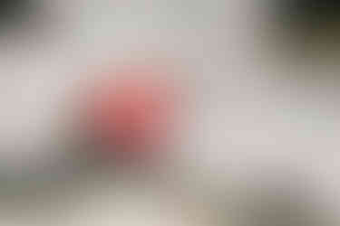 Beach Wedding, Cronulla Wedding, Cronulla Wedding Photographer, Cronulla Wedding Photography, Sutherland Wedding, Sutherland Wedding Photographer, Sutherland Wedding Photography, Sydney Wedding, Sydney Wedding Photographer, Coast Wedding, Wedding by the water, Intimate wedding, Fun wedding, Bride and Groom, Wedding Portrait, Wedding Cake, Chocolate Wedding Cake