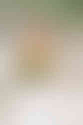 Beach Wedding, Cronulla Wedding, Cronulla Wedding Photographer, Cronulla Wedding Photography, Sutherland Wedding, Sutherland Wedding Photographer, Sutherland Wedding Photography, Sydney Wedding, Sydney Wedding Photographer, Coast Wedding, Wedding by the water, Intimate wedding, Fun wedding, Bride and Groom, Wedding Portrait, Wedding Flowers, Sun Flowers, Bridal Bouquet