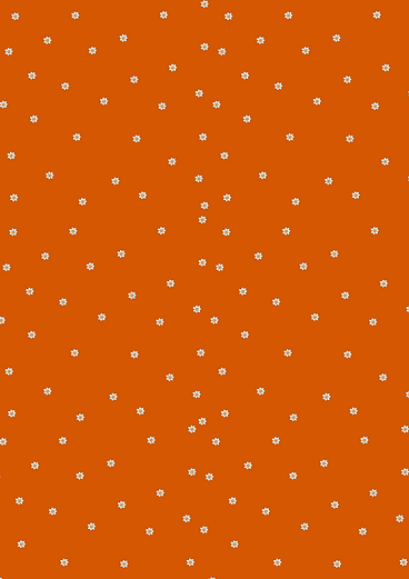 Affiche A4 (3).png