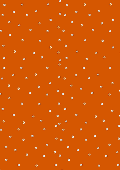 Affiche A4 (3).png