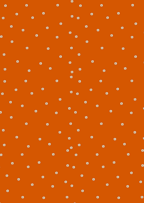 Affiche A4 (3).png
