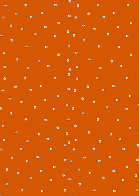 Affiche A4 (3).png