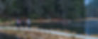 MG_2814_edited.jpg
