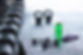 MG_2100-scaled.jpg
