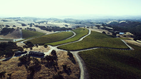 Aerial view of Santa Barbara wine country with rolling vineyards and winding dirt roads.