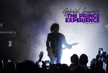 The Prince Experience