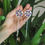 Thumbnail: Dancer Earrings | Spring Flowers