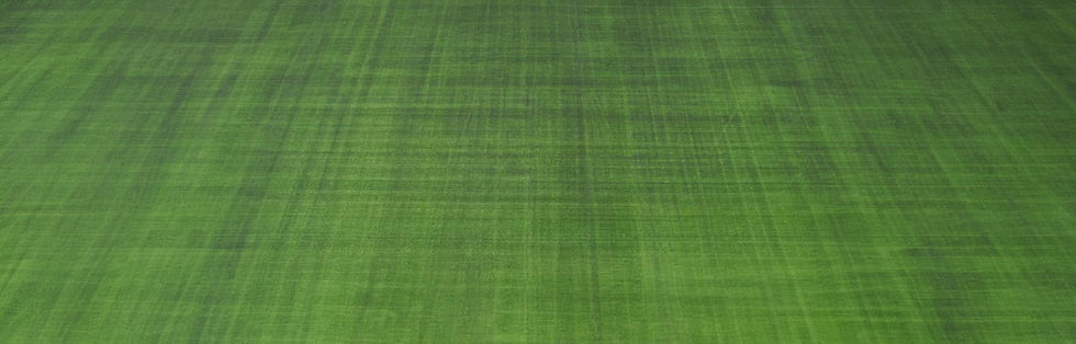 Grass-Background_1.jpg