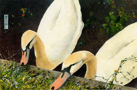 pastel on watercolour paper