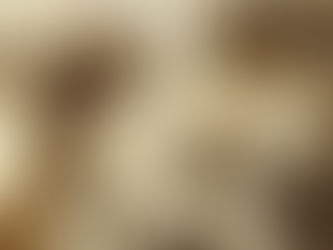 27 Febbraio 2022 - Anno C - VIII Domenica del Tempo Ordinario