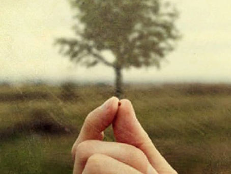 13 Giugno 2021 - XI Domenica del Tempo Ordinario Anno B