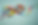 Screenshot 2025-10-11 at 3.54.56 PM.png
