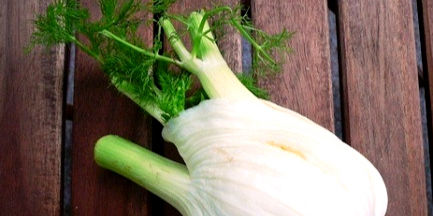 旬の野菜・くだもの 　～秋編～