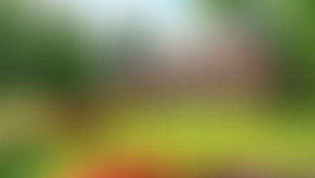 Kasteel van Groot-Bijgaardenの建物