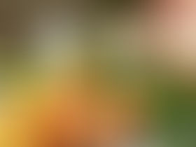 作ってみよう　レシピ編