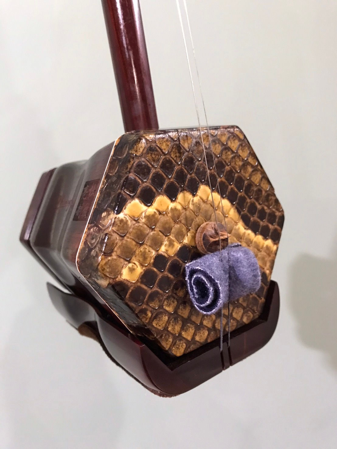 ３ヶ月二胡サブスク