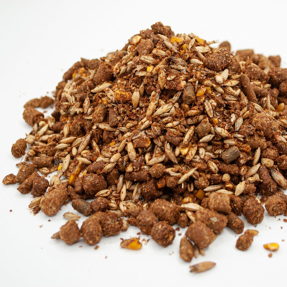 Thumbnail: Amber Classic Senior Textured 50Lbs