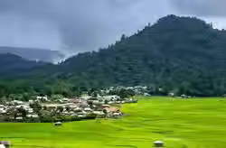 Ziro Valley
