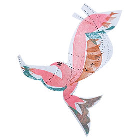 RedKite_Website.jpg