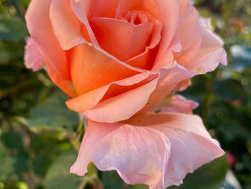 The Positive Accountant - Vol 2 Ed 2