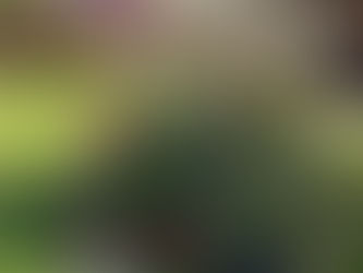 The Positive Accountant Vol 1 Ed 18