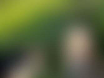 The Positive Accountant Vol 1 Ed 43