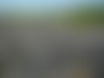 The Positive Accountant Vol 1 Ed 19